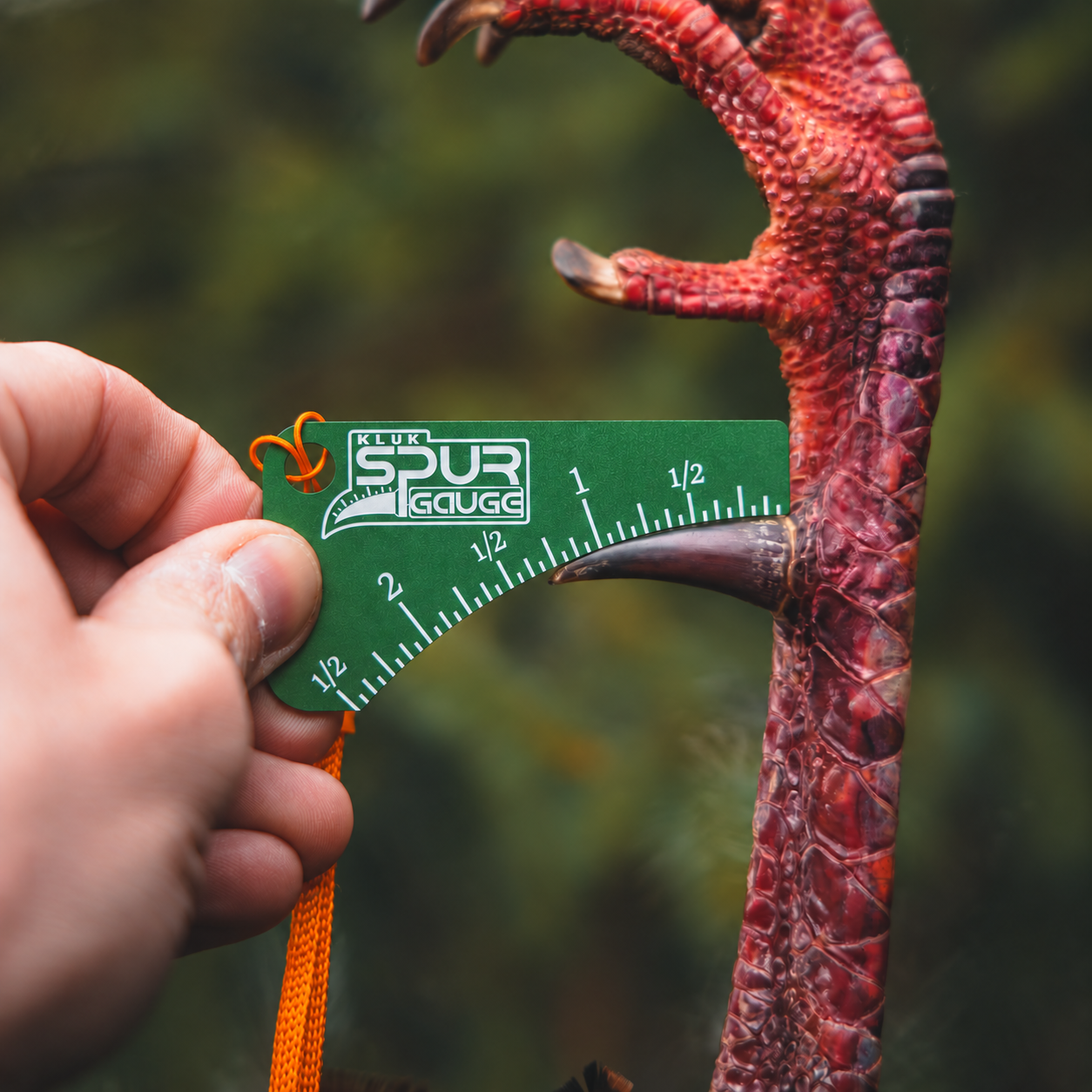 KLUK Spur Gauge